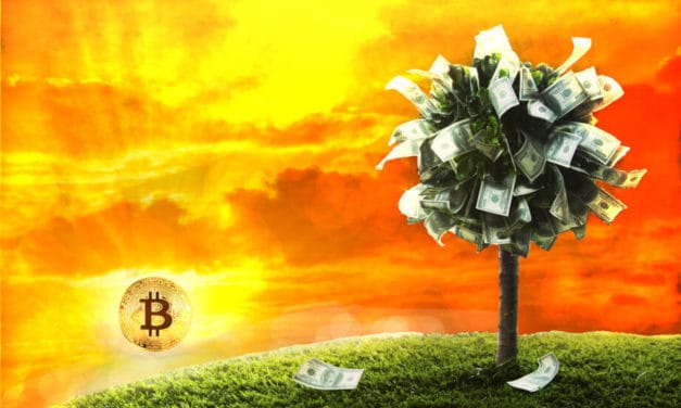 „Nur Bitcoin hat jetzt eine Daseinsberechtigung“ – Das Meinungs-ECHO