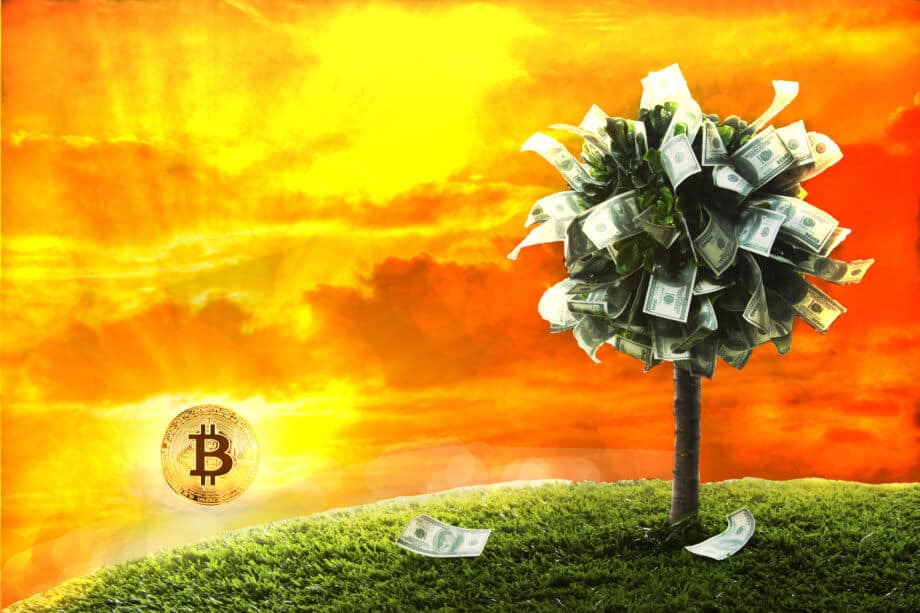 „Nur Bitcoin hat jetzt eine Daseinsberechtigung“ – Das Meinungs-ECHO