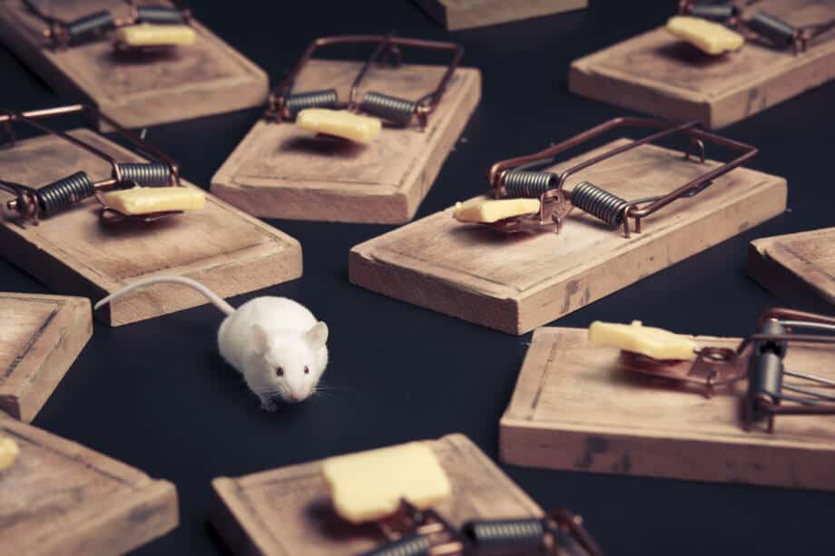 Warum DAX und Bitcoin zeitnah wieder einbrechen werden