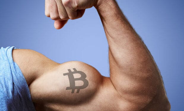 Bitcoin-Kurs (BTC) nie wieder unter 6.000 US-Dollar? Das Meinungs-ECHO