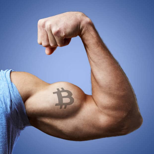 Bitcoin-Kurs (BTC) nie wieder unter 6.000 US-Dollar? Das Meinungs-ECHO