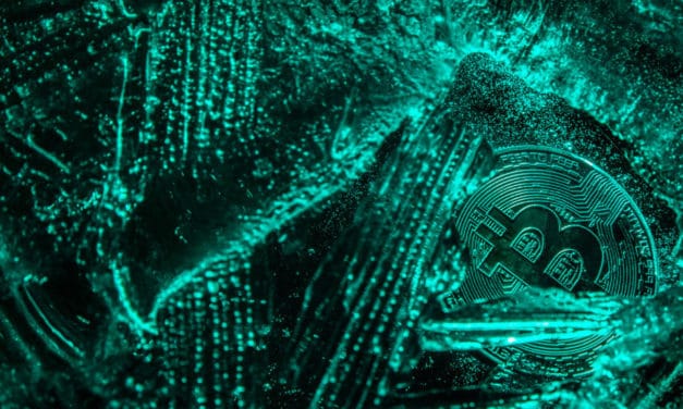 Bullen in Lauerstellung – Über 50 % der Kryptowährungen im Plus