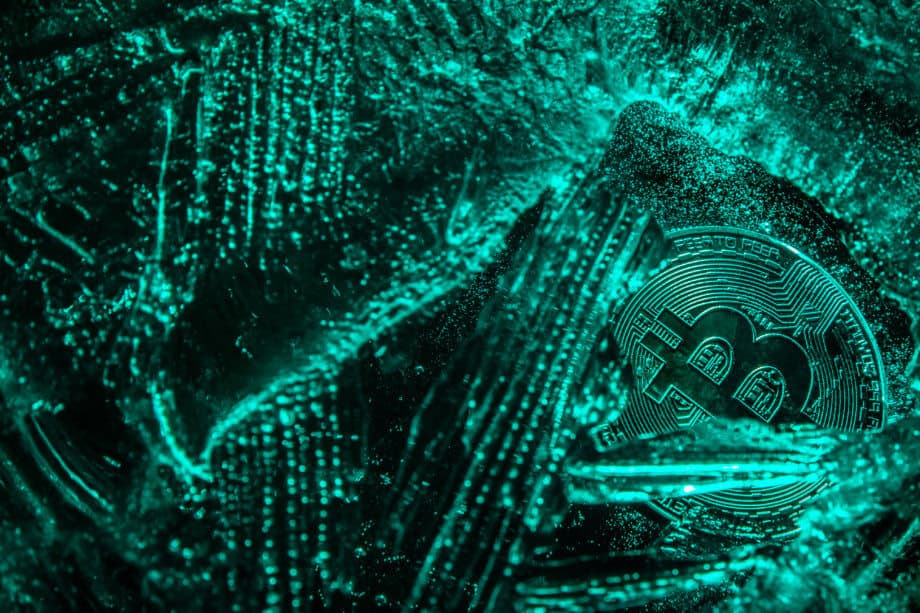 Bullen in Lauerstellung – Über 50 % der Kryptowährungen im Plus