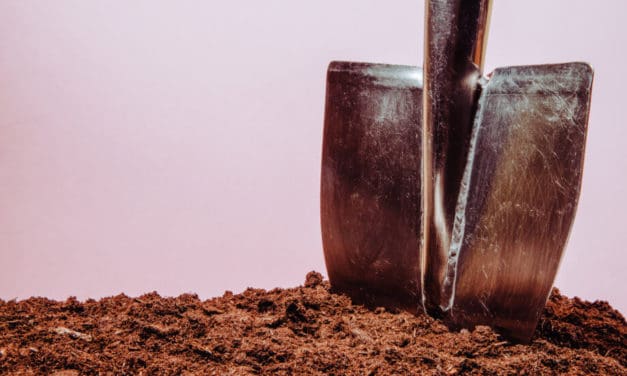 Ready to DAI? Zum Status der Maker Stable Coins