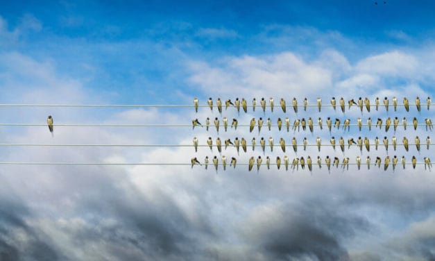 Bitcoin-Dominanz fällt unter wichtigen Support