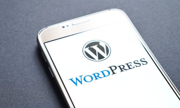 Tim Draper startet WordPress-Plugin für den Krypto-Handel