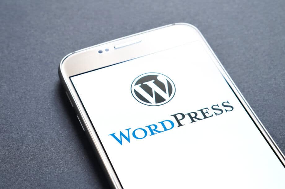 Tim Draper startet WordPress-Plugin für den Krypto-Handel