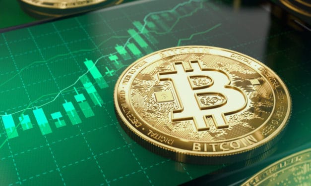 Bitcoin-Kurs (BTC) zieht an  – Hodler im Hamstermodus