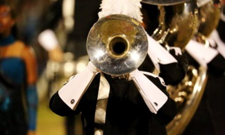 Gegenbewegung zu Bitcoin: CBDCs auf dem Vormarsch