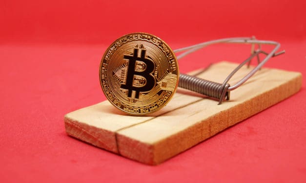 Sicher in Katastrophen – Wie resilient ist ein Krypto-Projekt?