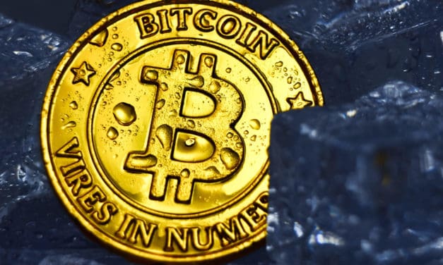 Countdown zum Bitcoin-Halving: Bull Run voraus? Eine Reise in die Vergangenheit!