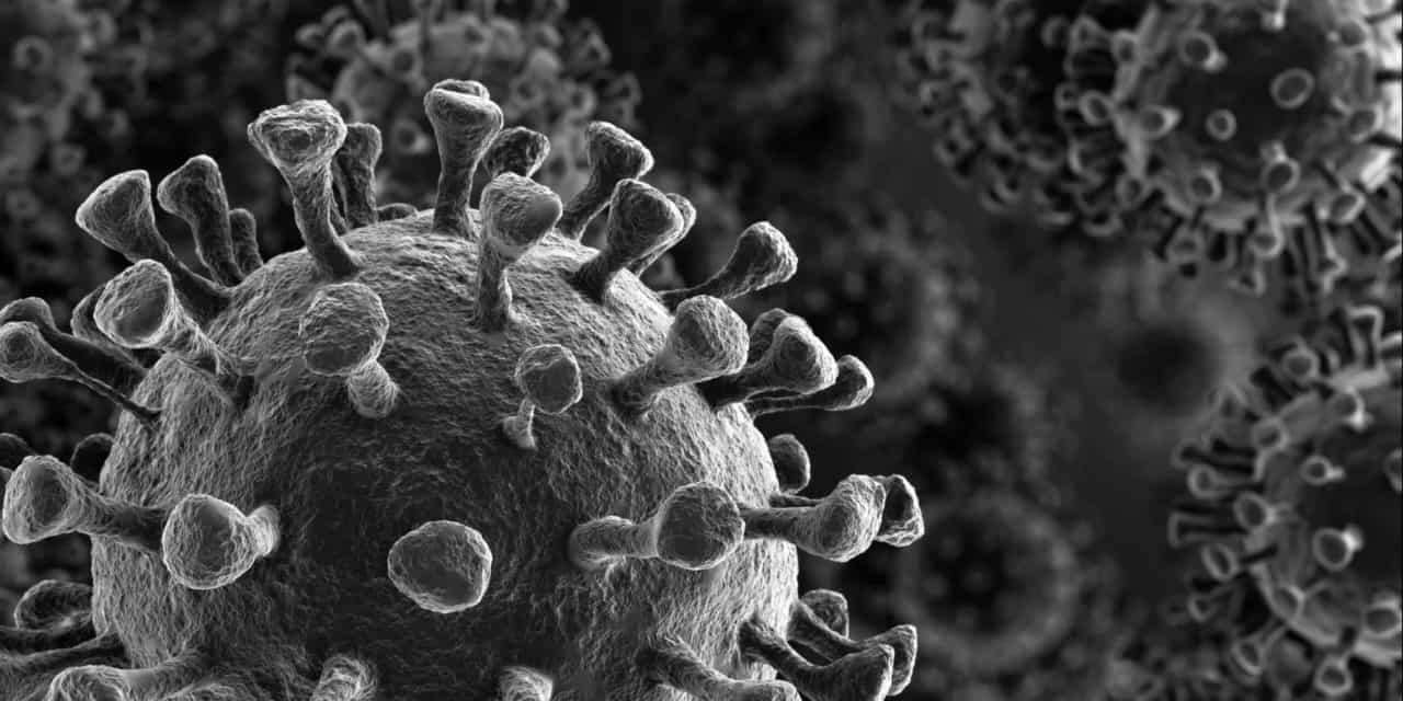 TIXnGO: Schweizer Firma mobilisiert Blockchain-Knowhow gegen Corona