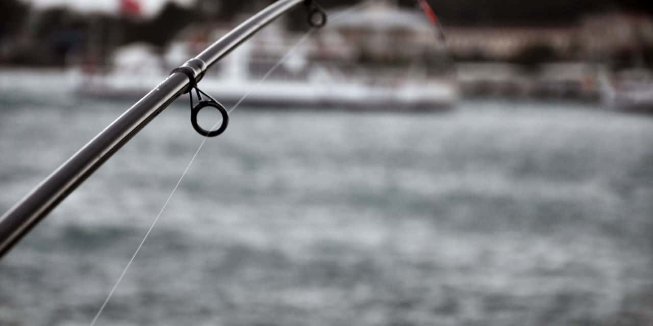 Bitcoin (BTC) kratzt an 10.000 US-Dollar und zieht Altcoins mit