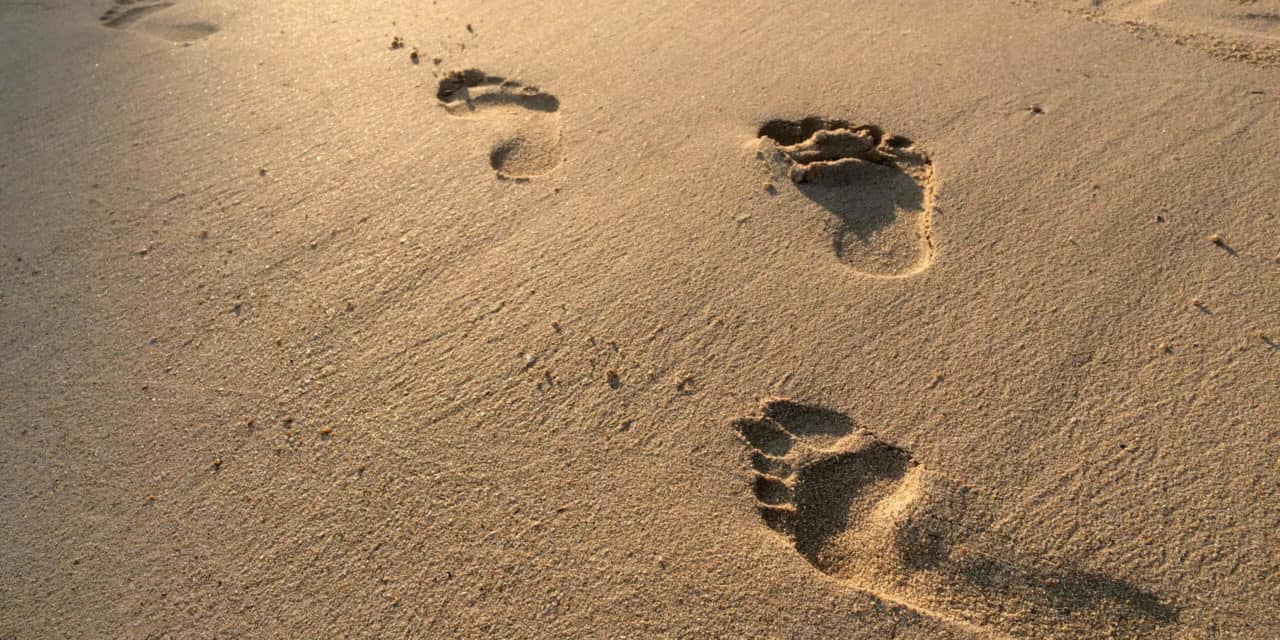 Lebenszeichen von Satoshi? 50 BTC aus Bitcoin-Anfangstagen bewegt