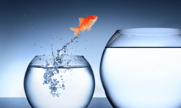 Weltpremiere: Wird RICO den Krypto-Investment-Markt revolutionieren?