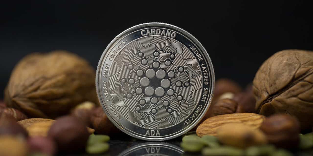 Cardano bestätigt Termin für Shelley – ADA explodiert