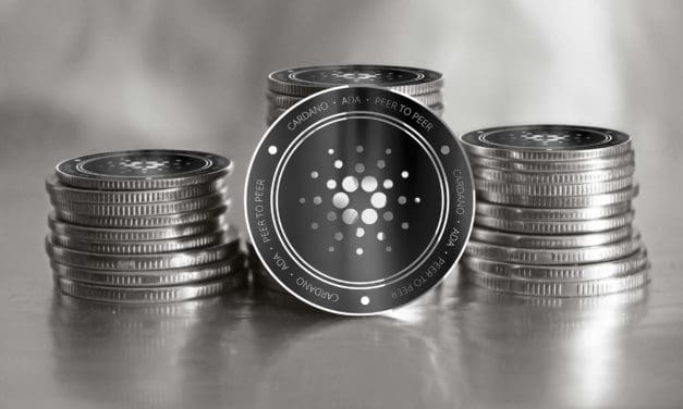 Cardano-Update: Shelley Testnet wächst, ADA steigt um 70 Prozent