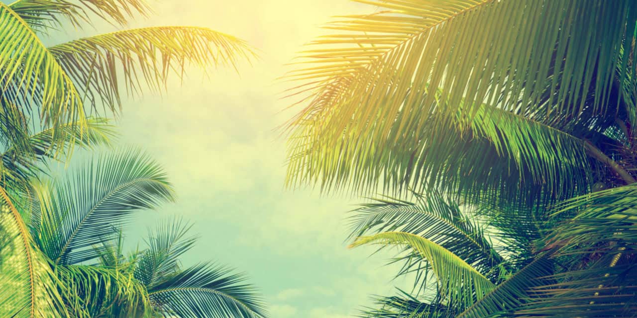 STO Made in Germany: Palmtrip verkauft ein Stückchen „Malle“