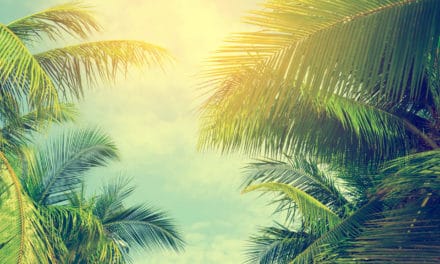 STO Made in Germany: Palmtrip verkauft ein Stückchen „Malle“