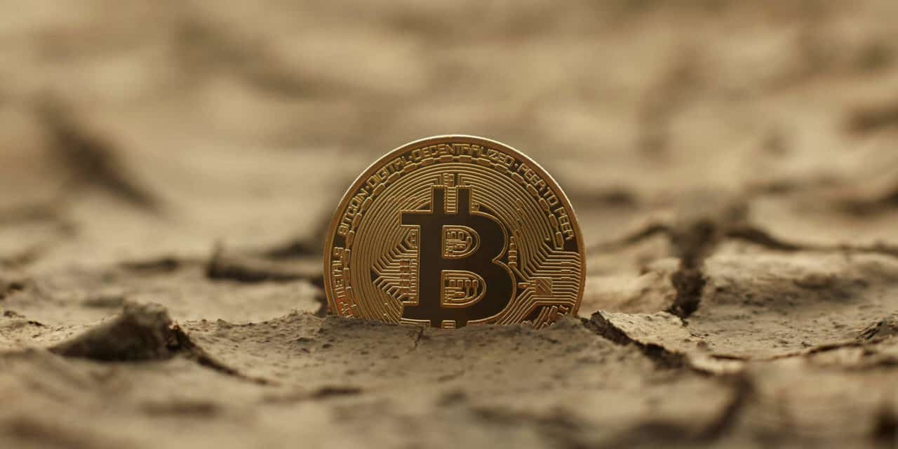 JPMorgan: Bitcoin wird überleben, aber… – Das Meinungs-ECHO