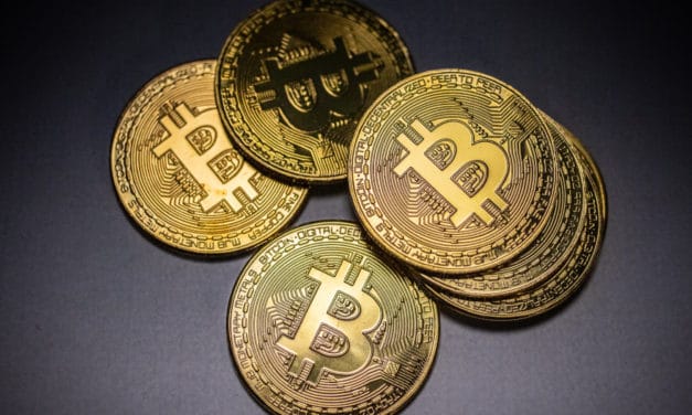 Neue Studie: Professionelle Bitcoin-Trader halten die Füße still