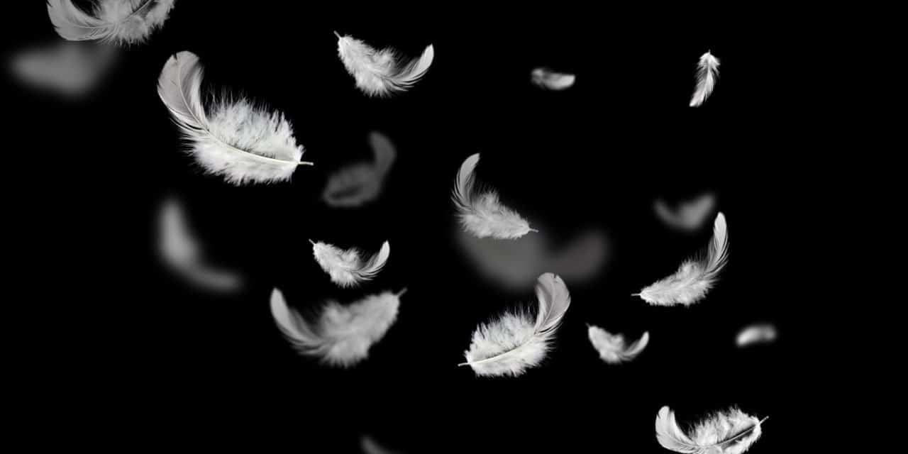 Krypto-Markt: Ethereum, IOTA und Ripple müssen weiter Federn lassen