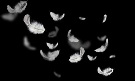 Krypto-Markt: Ethereum, IOTA und Ripple müssen weiter Federn lassen