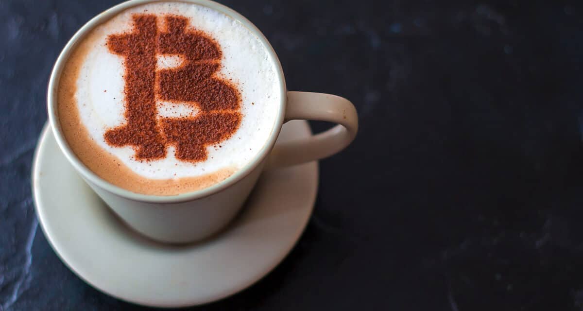 Bitcoin-Newsflash: Die Top-Nachrichten der Woche