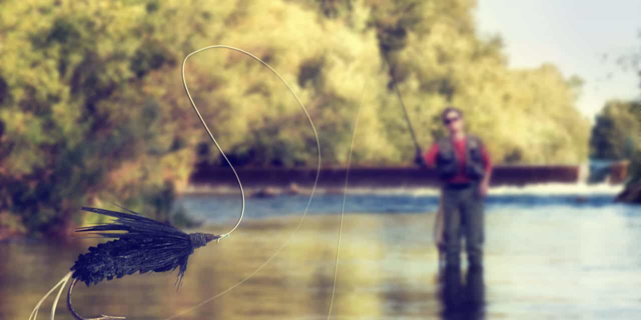 Digitale Identität: Wie die Blockchain gegen Diebstahl helfen kann