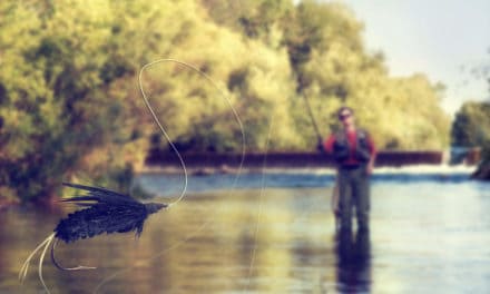 Digitale Identität: Wie die Blockchain gegen Diebstahl helfen kann