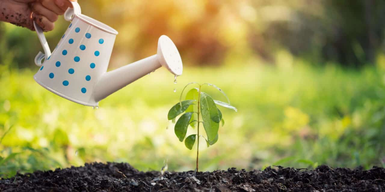 VC-Fund von Milliardär Tim Draper investiert in DeFi-Start-ups