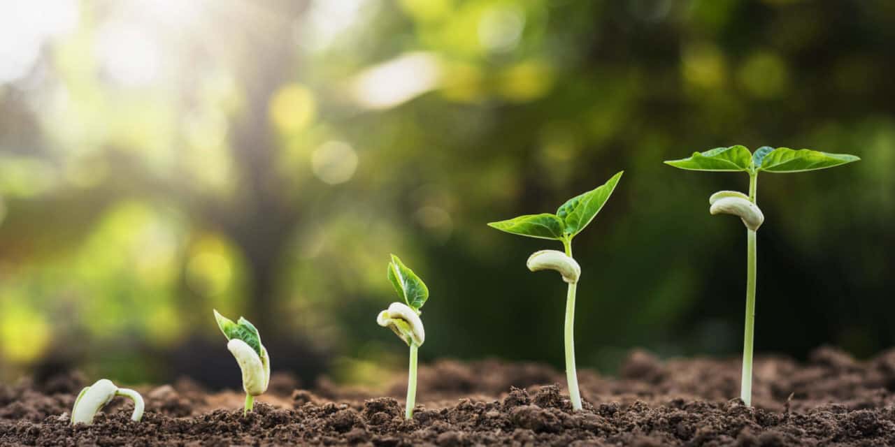 Ethereum 2.0.: Das nächste Update kommt bestimmt