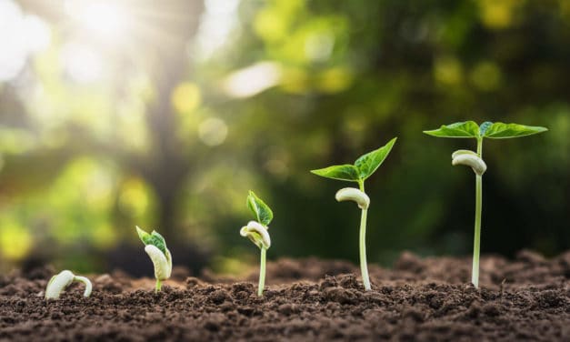 Ethereum 2.0.: Das nächste Update kommt bestimmt