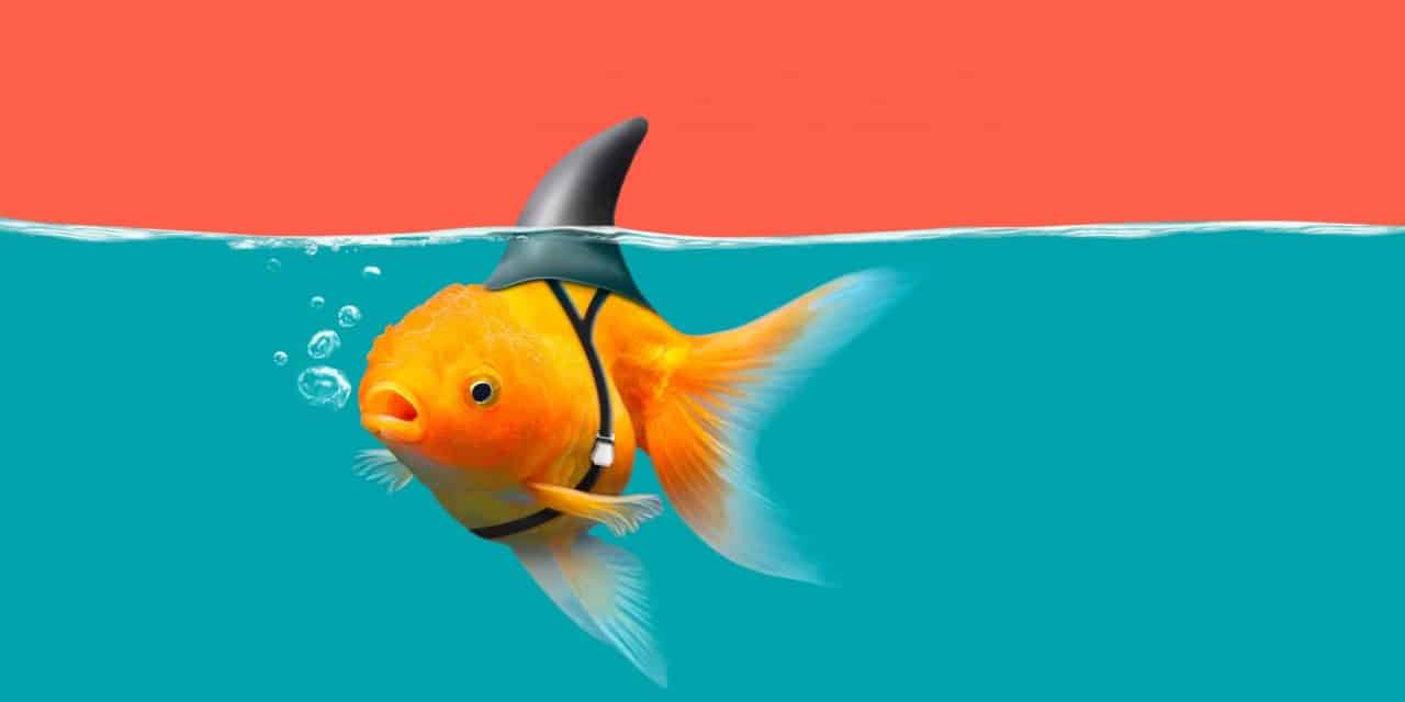 Nodes über ChainLink: Wie die Börse Huobi das Vertrauen fördern will