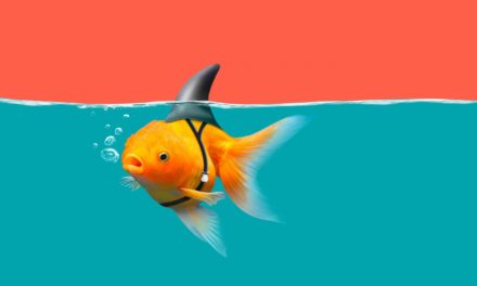 Nodes über ChainLink: Wie die Börse Huobi das Vertrauen fördern will