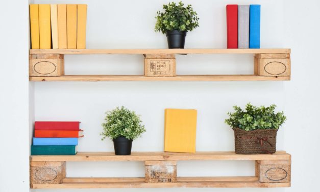 5 Bitcoin-Bücher, die in keinem Regal fehlen sollten