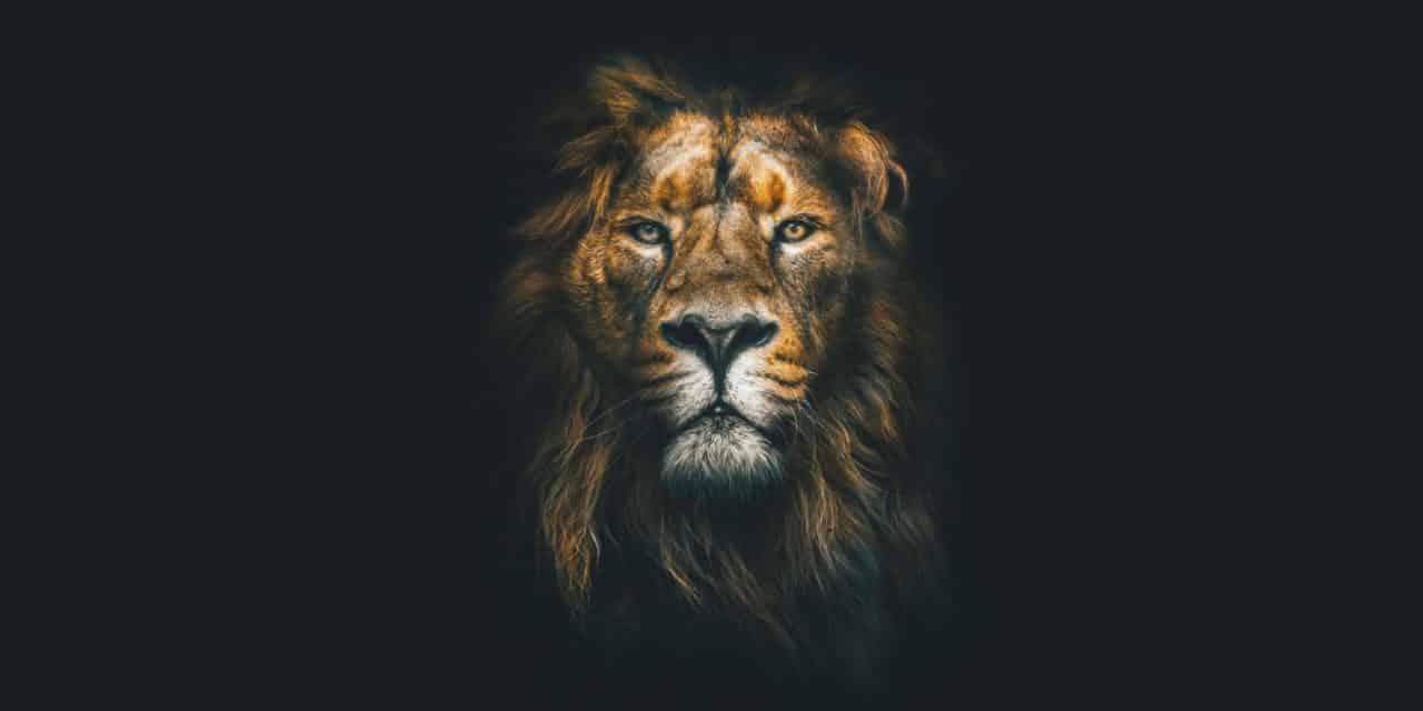Expansion nach Japan: Krypto-Browser Brave vermeldet Partnerschaft mit bitFlyer