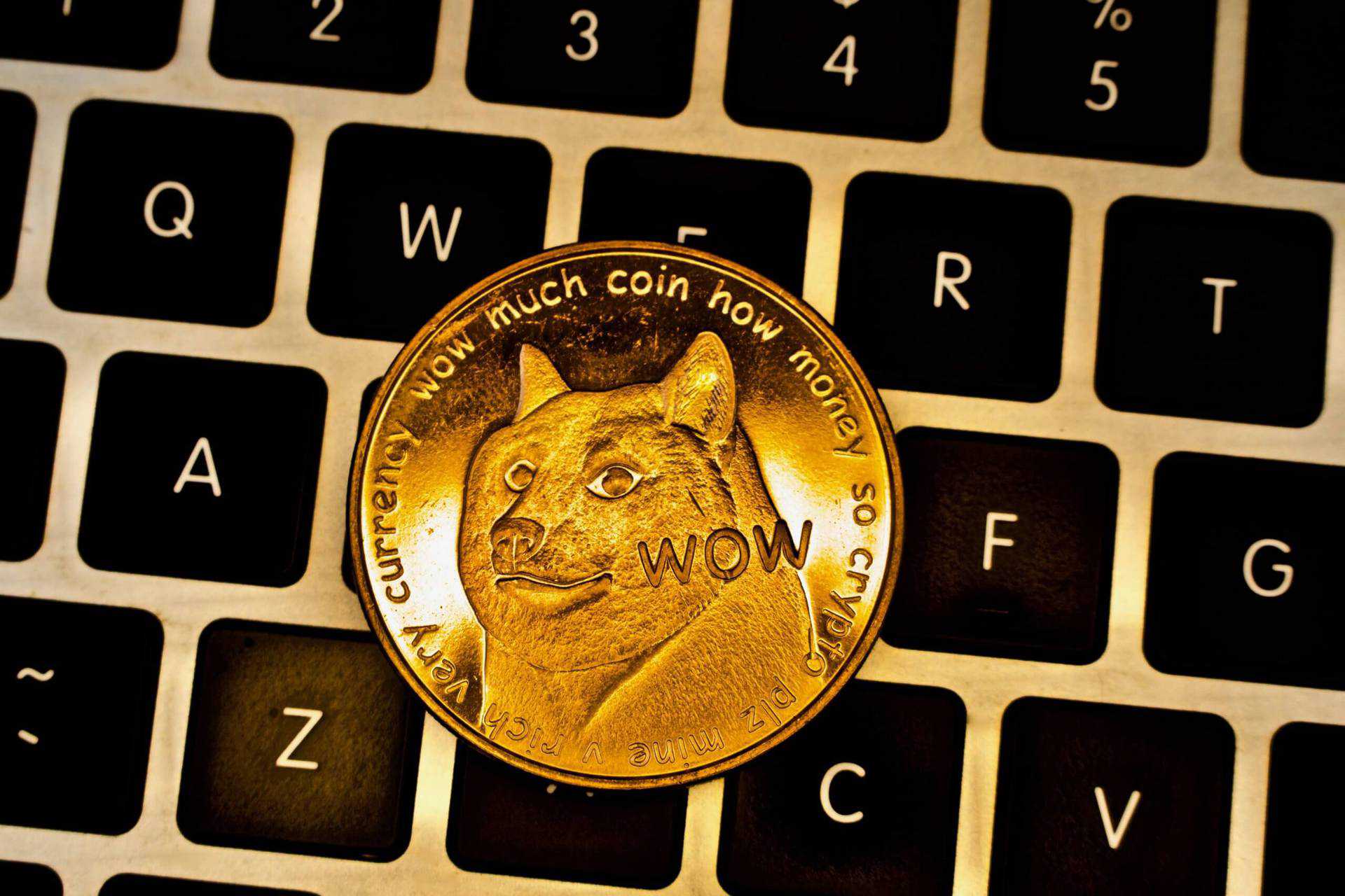 Dogecoin CEO von Compound investiert in Meme Coin nach TikTokVideo Trend Capitol