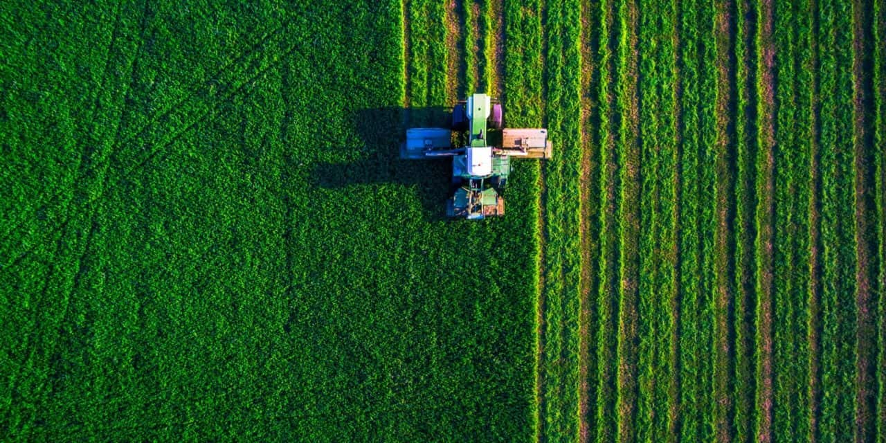 Yield Farming und Liquidity Mining: Der neue Stern am DeFi-Himmel?