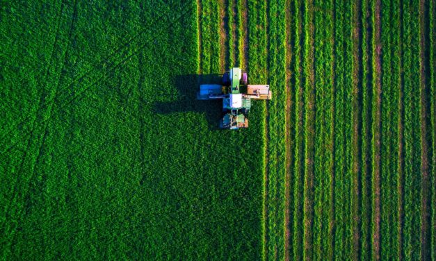 Yield Farming und Liquidity Mining: Der neue Stern am DeFi-Himmel?