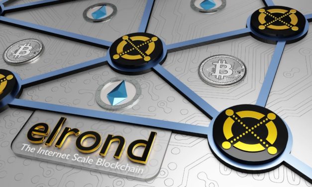 Elrond-Kurs (ERD): Ready to dump oder Pump mit Substanz?