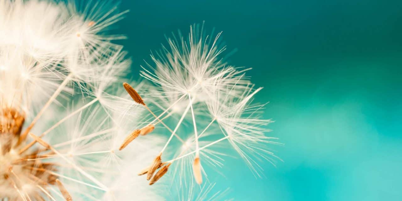 Regulierungs-ECHO: Corona-Krise bringt Aufwind für Bitcoin-Ökosystem