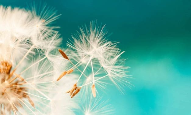 Regulierungs-ECHO: Corona-Krise bringt Aufwind für Bitcoin-Ökosystem
