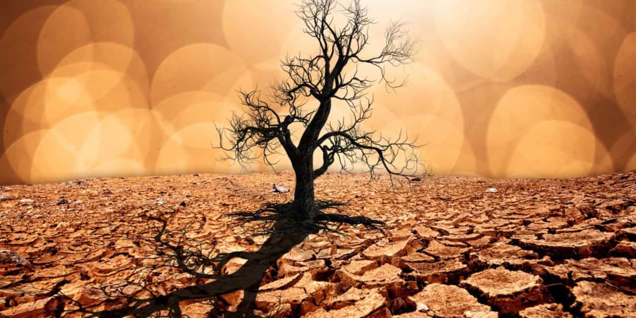 Weltwirtschaftsforum: Weltretter-Technologie Blockchain?