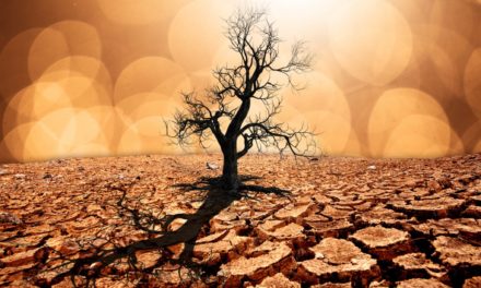 Weltwirtschaftsforum: Weltretter-Technologie Blockchain?