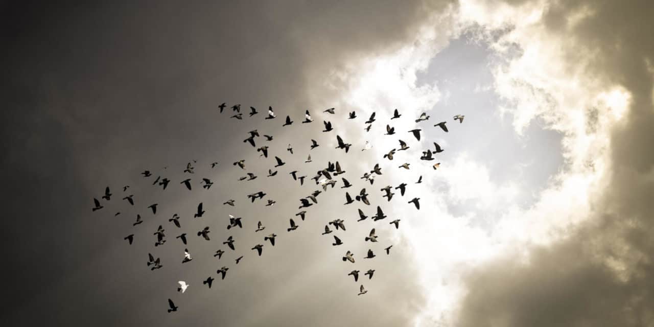 BitMEX: Bitcoin-Börse kündigt weitläufige Änderungen an