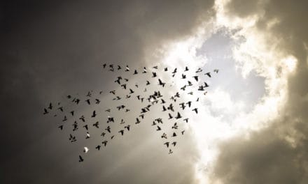 BitMEX: Bitcoin-Börse kündigt weitläufige Änderungen an