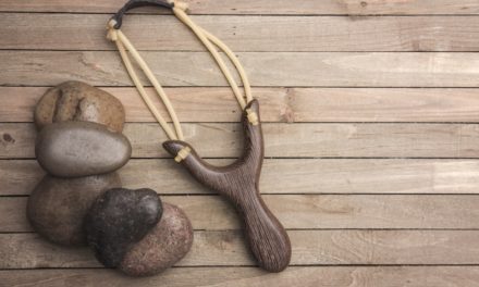 Mit ChainLink (LINK) gegen die Macht von Facebook: Revolution Populi