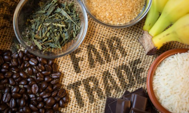 IBM unterstützt Fair Trade-Kaffee und Spenden per Blockchain
