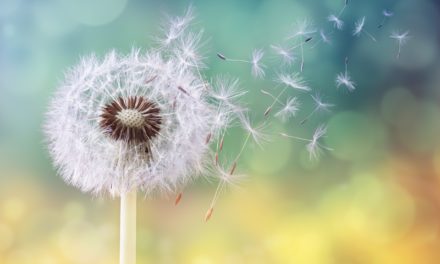 IOTA-Update: Von Blütenstaub, Chroniken und Prof. Tangle